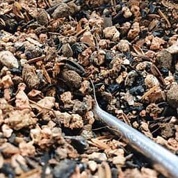 Đất trồng sen đá trộn sẵn-Trồng xương rồng, sen đá-Cung cấp đầy đủ chất dinh dưỡng cho cây trồng- (1kg)