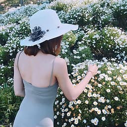 01 Gói Hạt Giống Cúc Họa Mi - Nảy Mầm Cực Chuẩn