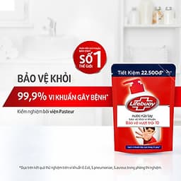 Nước Rửa Tay Diệt Khuẩn Lifebuoy Bảo Vệ Vượt Trội Túi 21126130 (450g)