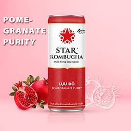 Thùng 12 lon STAR KOMBUCHA All-in-One (250ml/lon)