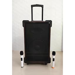 Loa vali kẹo kéo karaoke ronamax mt12 lo gỗ 3 tấc kèm 2micro karaoke
