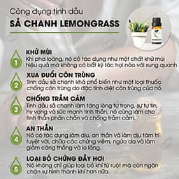 Tinh Dầu Xông Phòng Sả Chanh Kobi (10ml) + Tinh Dầu Bưởi Hồng Kobi (10ml) + Tinh Dầu Bạc Hà Kobi (10ml) Nguyên Chất Giúp Kháng Khuẩn, Khử Mùi, Giảm Stress Hiệu Quả - Tinh Dầu Thiên Nhiên