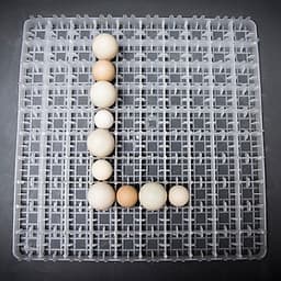 Máy ấp trứng Delta -H10 [1000 trứng] - Hàng chính hãng