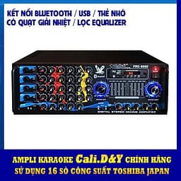 Amply Bluetooth Karaoke gia đình 16 sò lớn Cali.D&Y PRO 999D - Hàng chính hãng