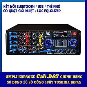 Amply Bluetooth Karaoke gia đình 16 sò lớn Cali.D&Y PRO 999D - Hàng chính hãng