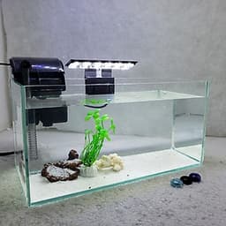 Bể cá mini để bàn có hồ lọc đèn phụ kiện đầy đủ