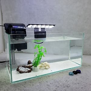 Bể cá mini để bàn có hồ lọc đèn phụ kiện đầy đủ