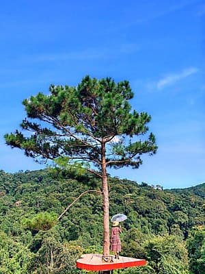 Tour Nha Trang - Đà Lạt 5 Ngày 4 Đêm