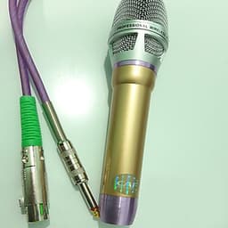 Micro karaoke có dây cao cấp CAFP10