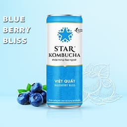 Thùng 12 lon STAR KOMBUCHA All-in-One (250ml/lon)