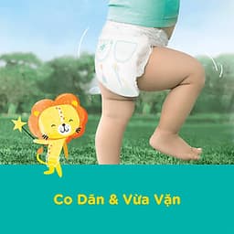 Combo 3 Tã Quần Pampers Điều Hoà Gói Lớn L60 Tặng 1 Túi Nước Giặt Ariel 1.4kg