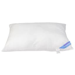 Ruột Gối Nằm Thắng Lợi 40x60cm