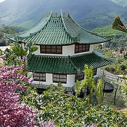 [Đà Nẵng] Tour Suối Khoáng Thần Tài 01 Ngày, Gồm Bữa Trưa, Khởi Hành Hàng Ngày Từ Trung Tâm Thành Phố