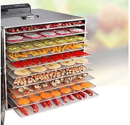 Máy sấy thực phẩm 10 khay