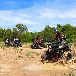 Vé Tham Quan Làng Voi Pattaya, Thái Lan - Một Giờ Trekking Cùng Voi (10: 30 - 11:30)