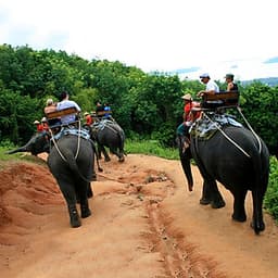 Vé Làng Moo Baan Chon Pao Pattaya, Thái Lan (Vé Vào Cổng + Cưỡi Voi + Đưa Đón)