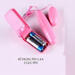 Máy Rung Tình Yêu Hồng Kông 2 đầu - Remote Chung Đầu Rung Nhựa - 1 Bộ