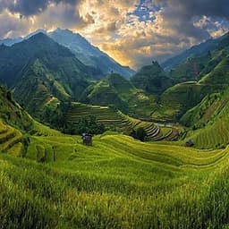 Tour Mù Cang Chải 2N1Đ Mùa Lúa Chín, Khởi Hành Thứ 7 Hàng Tuần & Dịp Lễ