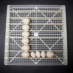 Máy ấp trứng Delta -H10 [1000 trứng] - Hàng chính hãng