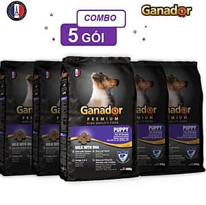 Combo 5 gói thức ăn cho chó con Ganador vị sữa & DHA Puppy Milk with DHA 400 gram