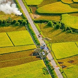 Tour 4N3Đ Hà Nội - Mai Châu - Pù Luông - Suối Cá Thần - Thung Nham - Chùa Tam Chúc, Khởi Hành Thứ 5 Hàng Tuần & Dịp Lễ Tết
