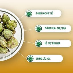 Trà atiso Ladophar gói 100 túi lọc tặng 2 túi trà actiso Premium Ladophar giúp mát gan thông mật lợi tiểu
