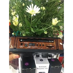 Đài Radio FM có khe cắm thẻ nhớ,usb nghe nhạc SW999 