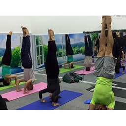 Thảm Tập Yoga, Gym miDoctor + Bao Thảm Yoga (Giao Màu Ngẫu Nhiên)