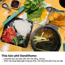 Bộ 6 thìa muỗng inox 304 DandiHome 2020 cao cấp, sang trọng, tinh tế