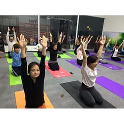 Thảm Tập Yoga, Gym miDoctor + Bao Thảm Yoga (Giao Màu Ngẫu Nhiên)