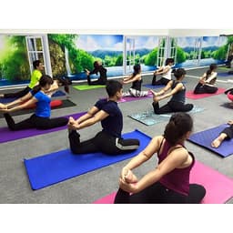 Thảm Tập Yoga, Gym miDoctor + Bao Thảm Yoga (Giao Màu Ngẫu Nhiên)