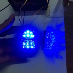 XI NHAN WINNER X KIỂU MAI RÙA, (1 ĐÔI)