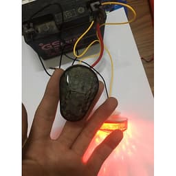 XI NHAN WINNER X KIỂU MAI RÙA, (1 ĐÔI)