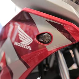 XI NHAN WINNER X KIỂU MAI RÙA, (1 ĐÔI)