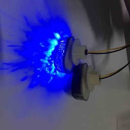 XI NHAN WINNER X KIỂU MAI RÙA, (1 ĐÔI)