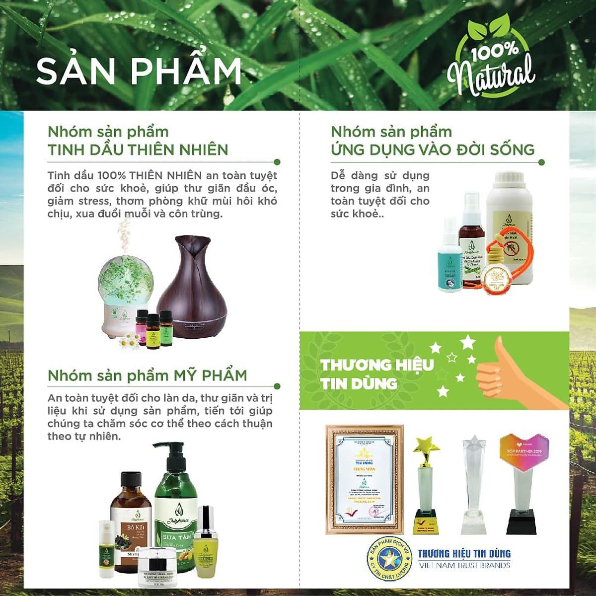 Gel rửa tay khô Nha đam hương tinh dầu bưởi chùm 100ml JULYHOUSE công dụng khử khuẩn khử mùi bảo vệ da tay, giúp mềm mịn da với hương tinh dầu thư giãn tốt cho tiêu hóa hàng chính hãng xuất xứ việt nam