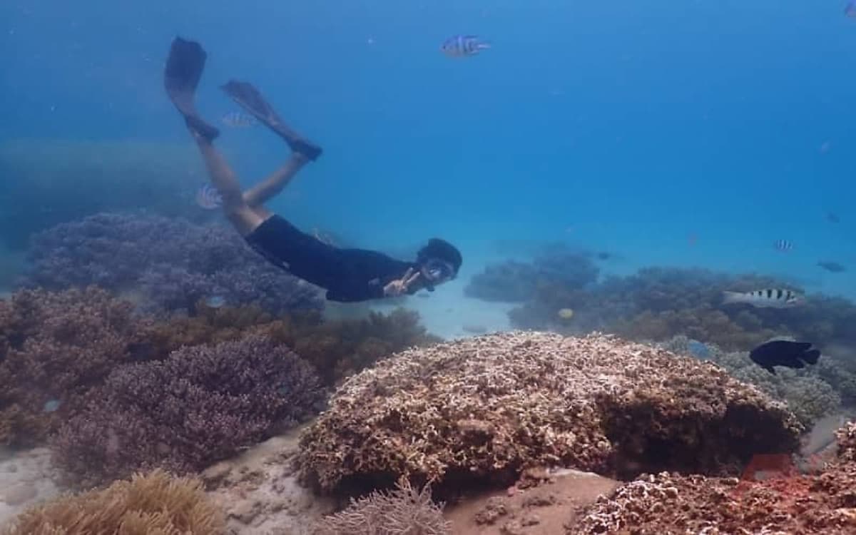 NHA TRANG: Tour Ninh Vân - Gành Nhảy - I- Resort Trọn Gói Xe Di Chuyển + Cơm Trưa + Lặn Ngắm San Hô Snorkeling + Tắm khoáng nóng + Hướng Dẫn Viên Suốt Tuyến