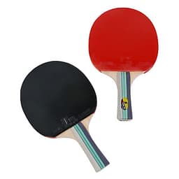 Vợt Bóng Bàn 3 Banh Sportslink BSL7118