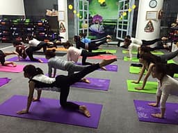 Thảm Yoga Định Tuyến 2 Lớp miDoctor + Bao Đựng Thảm Yoga Định Tuyến + Dây Buộc (Màu Ngẫu Nhiên)