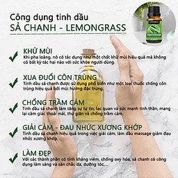 Tinh dầu Xông phòng gồm Combo 3 lọ tinh dầu cao cấp: tinh dầu Sả chanh (10ml) + tinh dầu Bạc hà (10ml) + tinh dầu Cam tươi (10ml) Vemoda