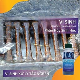 Vi sinh thông cống, xử lý hầm cầu, bể phốt, tự hoại BIO - SEPTIC - Chai 350ml