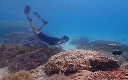 NHA TRANG: Tour Ninh Vân - Gành Nhảy - I- Resort Trọn Gói Xe Di Chuyển + Cơm Trưa + Lặn Ngắm San Hô Snorkeling + Tắm khoáng nóng + Hướng Dẫn Viên Suốt Tuyến