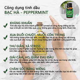 Tinh dầu Xông phòng gồm Combo 3 lọ tinh dầu cao cấp: tinh dầu Sả chanh (10ml) + tinh dầu Bạc hà (10ml) + tinh dầu Cam tươi (10ml) Vemoda
