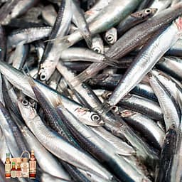 Cặp 2 chai nước Mắm Tĩn nhãn đỏ 40N (500ml)